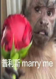 昨晚吃了诺氟沙星可以喝酒吗