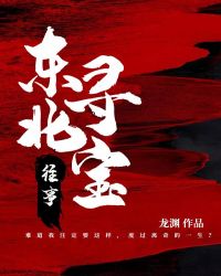 东北寻亲故事